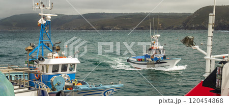 Fishing Port, Malpica de Bergantinos, Spain 120454868