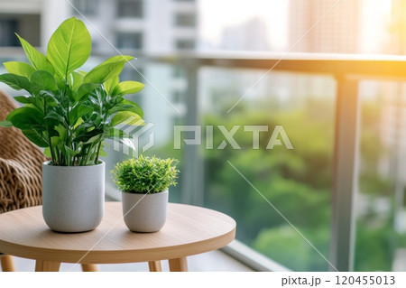Potted plants on a balcony during golden hour with sunlight in the background 120455013