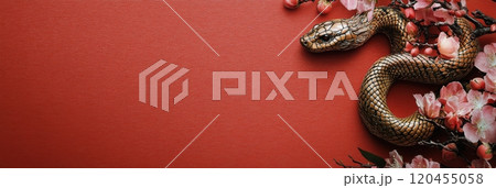 Black snake entwined with pink blossoms against a red backdrop representing nature and beauty 120455058