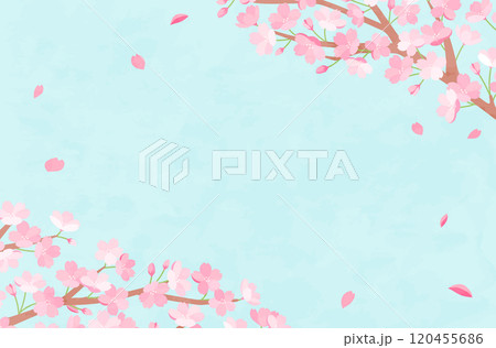 春の桜の背景イラスト　素材　さくら　花　かわいい　テンプレート　満開　新生活　お祝い　コピースペース 120455686