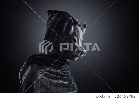 Pig in hooded cloak at night over dark misty background Pig in hooded cloak at night over dark misty background 120455765