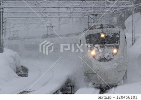 雪の中を行く特急はくたか金沢行き、上越国際スキー場前 120456103
