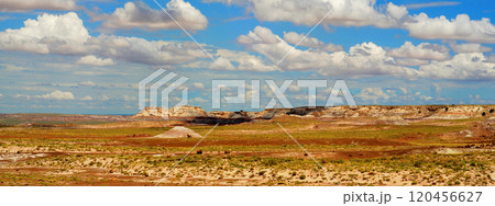Bleak Landscape Petrified Forest National Park Arizona Bleak Landscape Petrified Forest National Park Arizona 120456627