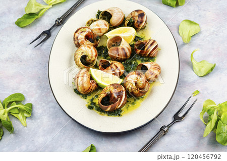 Mediterranean escargot delicacy snails. 120456792