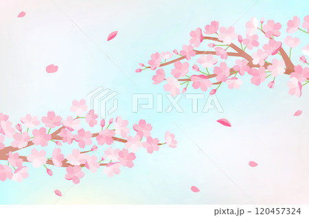 春の桜の背景イラスト　素材　さくら　花　かわいい　テンプレート　満開　新生活　お祝い 120457324