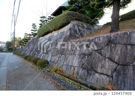 愛知県長久手市_古戦場公園東側3_2024年1月 愛知県長久手市_古戦場公園東側3_2024年1月 120457909