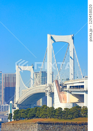 東京都港区、レインボーブリッジの風景 120458020