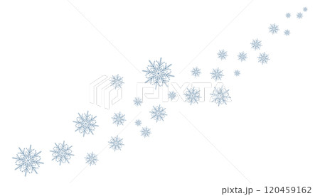 Christmas Snowflakes design Winter snow icon 120459162