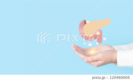 Doctor hands holding pancreas organ anatomy hologram over blue background. Awareness of pancreatitis and pancreatic cancer concept. Doctor hands holding pancreas organ anatomy hologram over blue background. Awareness of pancreatitis and pancreatic cancer concept. 120460008