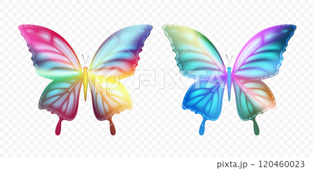 Colorful butterflies isolated on transparent background 120460023