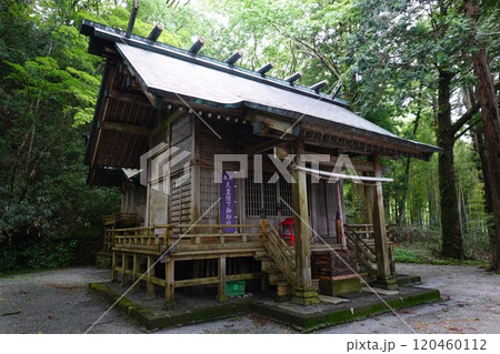 仙石原諏訪神社 仙石原諏訪神社 120460112