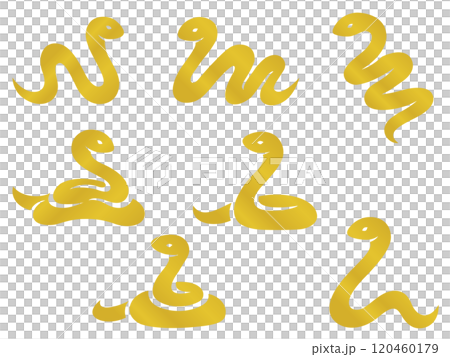 Golden snake silhouette illustration set 120460179
