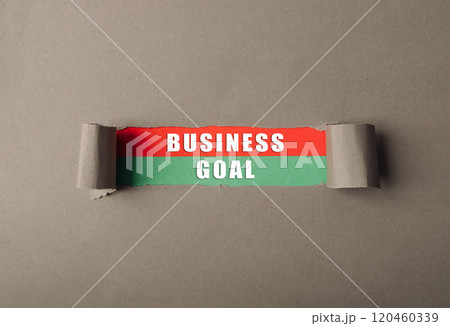 A business goal is written on a piece of paper that is torn in half A business goal is written on a piece of paper that is torn in half 120460339