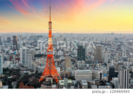 Tokyo Cityscape with Tokyo Tower. 120460493