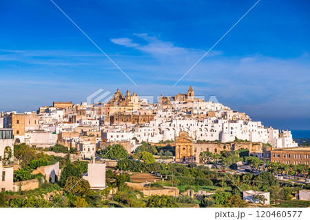 Ostuni, Italy Historic Town Skyline 120460577