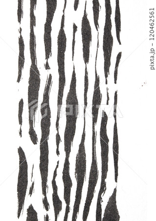 Thick Ink Pen Black Lines on White Background Zebra Skin Barcode Shapes Thick Ink Pen Black Lines on White Background Zebra Skin Barcode Shapes 120462561