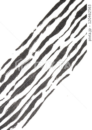 Thick Ink Pen Black Lines on White Background Zebra Skin Barcode Shapes 120462563