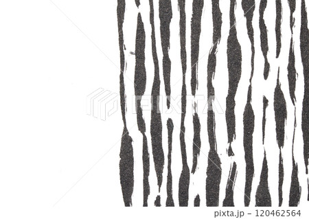 Thick Ink Pen Black Lines on White Background Zebra Skin Barcode Shapes Thick Ink Pen Black Lines on White Background Zebra Skin Barcode Shapes 120462564