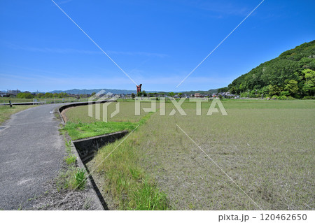 水攻めされた「備中高松城」と秀吉公本陣跡・蛙が鼻築堤跡 水攻めされた「備中高松城」と秀吉公本陣跡・蛙が鼻築堤跡 120462650