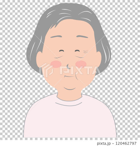Cute grandmother's illustration, upper body, senior 120462797