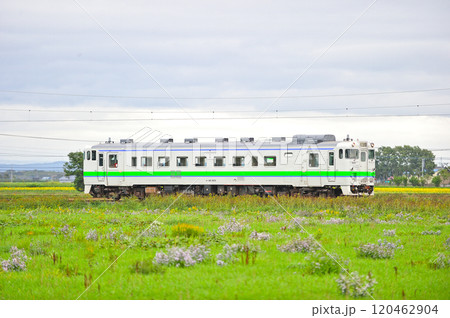 札沼線　北海道医療大学ー石狩当別　JR北海道　キハ40-820（苗穂） 120462904