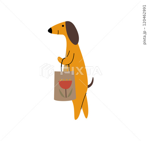 Purebred Brown Dachshund Dog with Shopping Bag, Funny Playful Pet Animal Cartoon Character Vector Illustration 120462991