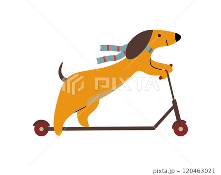 Purebred Brown Dachshund Dog Riding Kick Scooter, Funny Playful Pet Animal Cartoon Character Vector Illustration Purebred Brown Dachshund Dog Riding Kick Scooter, Funny Playful Pet Animal Cartoon Character Vector Illustration 120463021