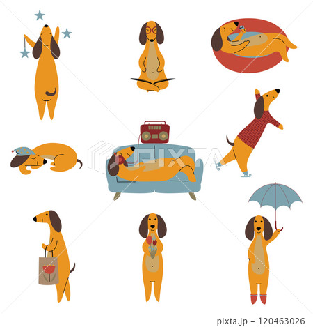 Collection of Purebred Brown Dachshund Dog, Friendly Funny Playful Pet Animals Cartoon Characters in Different Situations Vector Illustration 120463026