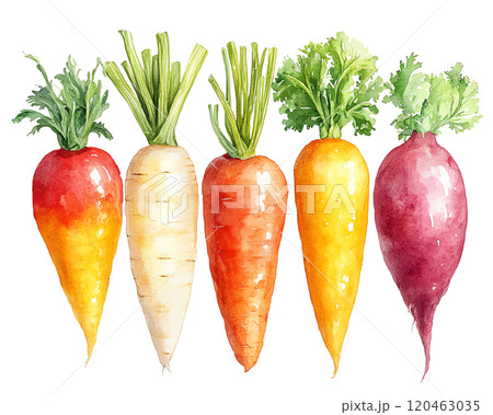 A lively watercolor painting of various vegetables on a clean white background, highlighting their freshness and vibrant natural colors. 120463035