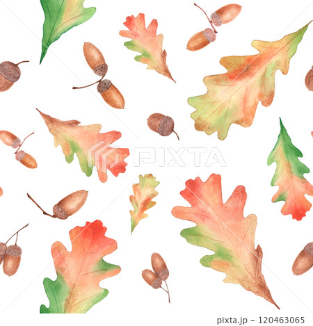 Watercolor seamless pattern with acorns and oak leaves. For printing on textile products 120463065
