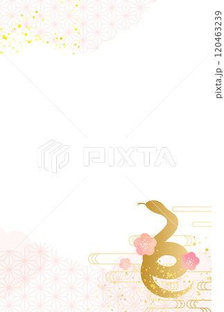 2025年　巳年　年賀状　ピンク　梅　和柄　背景 120463239