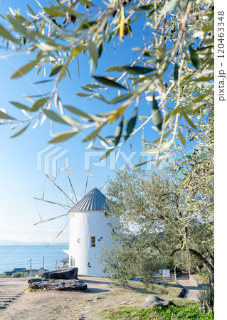 小豆島オリーブ公園のギリシャ風車 120463348