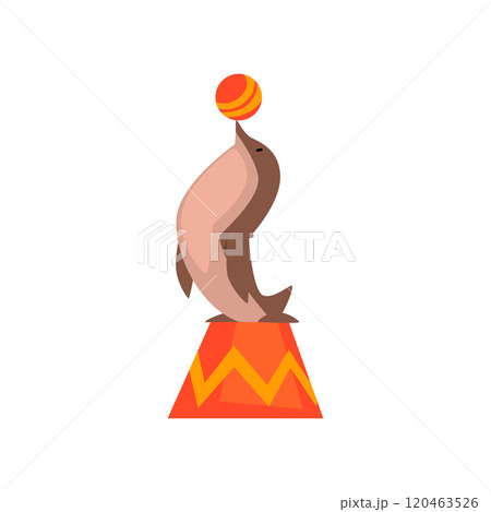 Seal Standing on Pedestal and Keeps Ball on Its Nose, Animal Performing in Circus Show Cartoon Vector Illustration 120463526