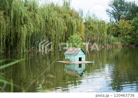 Pond with animals in the park 120463736