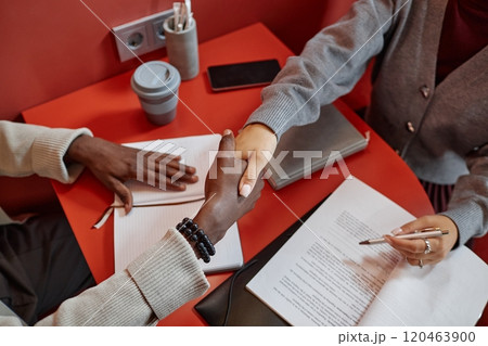 Cropped shot of African American businessman shaking hands with female partner making successful deal sitting at cafe table in modern office building, copy space Cropped shot of African American businessman shaking hands with female partner making successful deal sitting at cafe table in modern office building, copy space 120463900