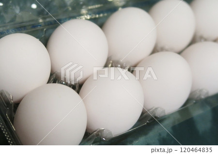 1パックの卵 120464835