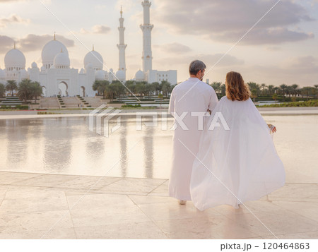 Travel to the United Arab Emirates, Abu Dhabi 120464863