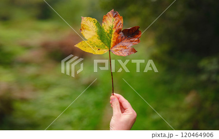 Travel to Village of Rastoke near Slunj in Croatia Travel to Village of Rastoke near Slunj in Croatia 120464906
