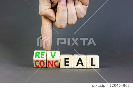 Reveal or conceal symbol. Businessman turns wooden cubes and changes word Conceal to Reveal. Beautiful grey table grey background, copy space. Business reveal or conceal concept. Reveal or conceal symbol. Businessman turns wooden cubes and changes word Conceal to Reveal. Beautiful grey table grey background, copy space. Business reveal or conceal concept. 120464965