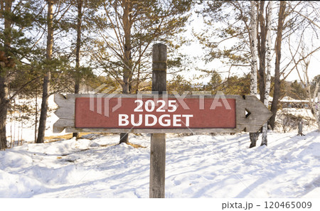 Planning 2025 budget new year symbol. Concept words 2025 Budget on beautiful wooden old retro vintage road sign. Beautiful winter forest background. Business 2025 budget new year concept. Copy space. 120465009