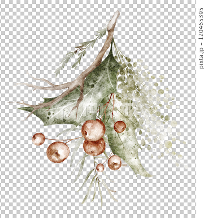 Watercolor holly Christmas ornament. Xmas green bouquet isolated on white background. Hand drawn Winter holiday decoration for design cards, invitation. Watercolor holly Christmas ornament. Xmas green bouquet isolated on white background. Hand drawn Winter holiday decoration for design cards, invitation. 120465395