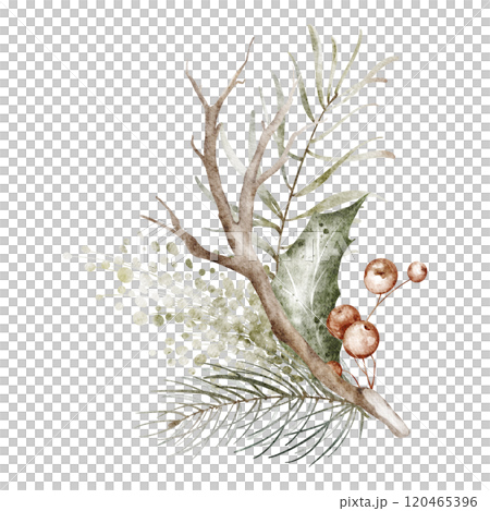 Watercolor holly Christmas ornament. Xmas green bouquet isolated on white background. Hand drawn Winter holiday decoration for design cards, invitation. Watercolor holly Christmas ornament. Xmas green bouquet isolated on white background. Hand drawn Winter holiday decoration for design cards, invitation. 120465396