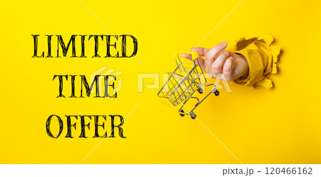 The image has a playful and fun mood The image has a playful and fun mood 120466162