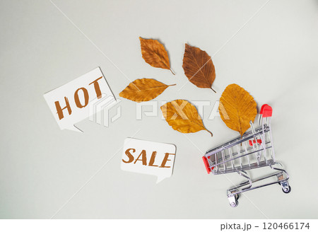 Shopping cart with leaves on it and the words hot sale written below it Shopping cart with leaves on it and the words hot sale written below it 120466174