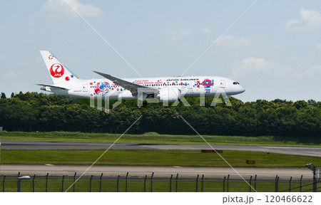 JAL787大阪万博2025塗装機成田アブローチ 120466622