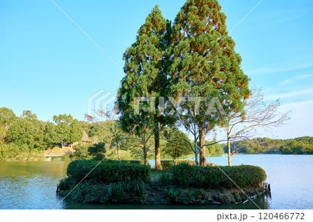 有馬富士公園 120466772