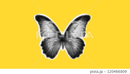 Butterfly in dots. Collage element in halftone effect. Pop art illustration on bright yellow background. Vector png. Butterfly in dots. Collage element in halftone effect. Pop art illustration on bright yellow background. Vector png. 120466809