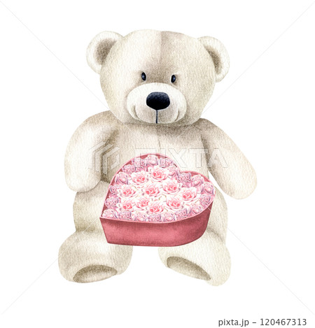 White teddy bear holding heart shaped gift box with dusty pink roses. Hand drawn watercolor illustration of cute plush toy on isolated background. Design for Valentine's Day cards or party invitations 120467313