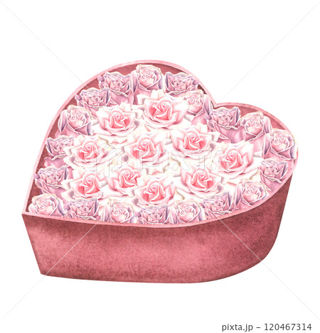 Dusty pink roses in heart shaped red gift box. Hand drawn watercolor illustration of vintage flower bouquet isolated on background. Drawing of present for 14 february romance date. For greeting cards. 120467314