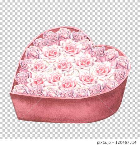 Dusty pink roses in heart shaped red gift box. Hand drawn watercolor illustration of vintage flower bouquet isolated on background. Drawing of present for 14 february romance date. For greeting cards. 120467314